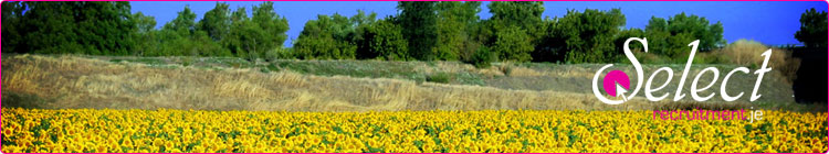 flower3 Image