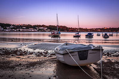 Sunny Jersey